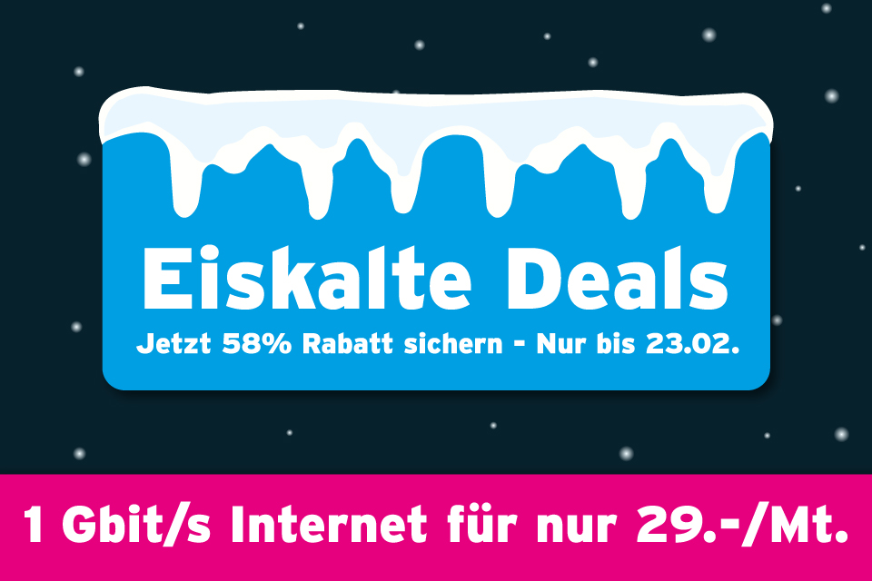 Eiskalte Deals - Internet nur 29.-