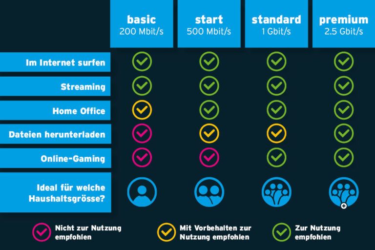 Welches sasag Internet-Abo passt zu mir?